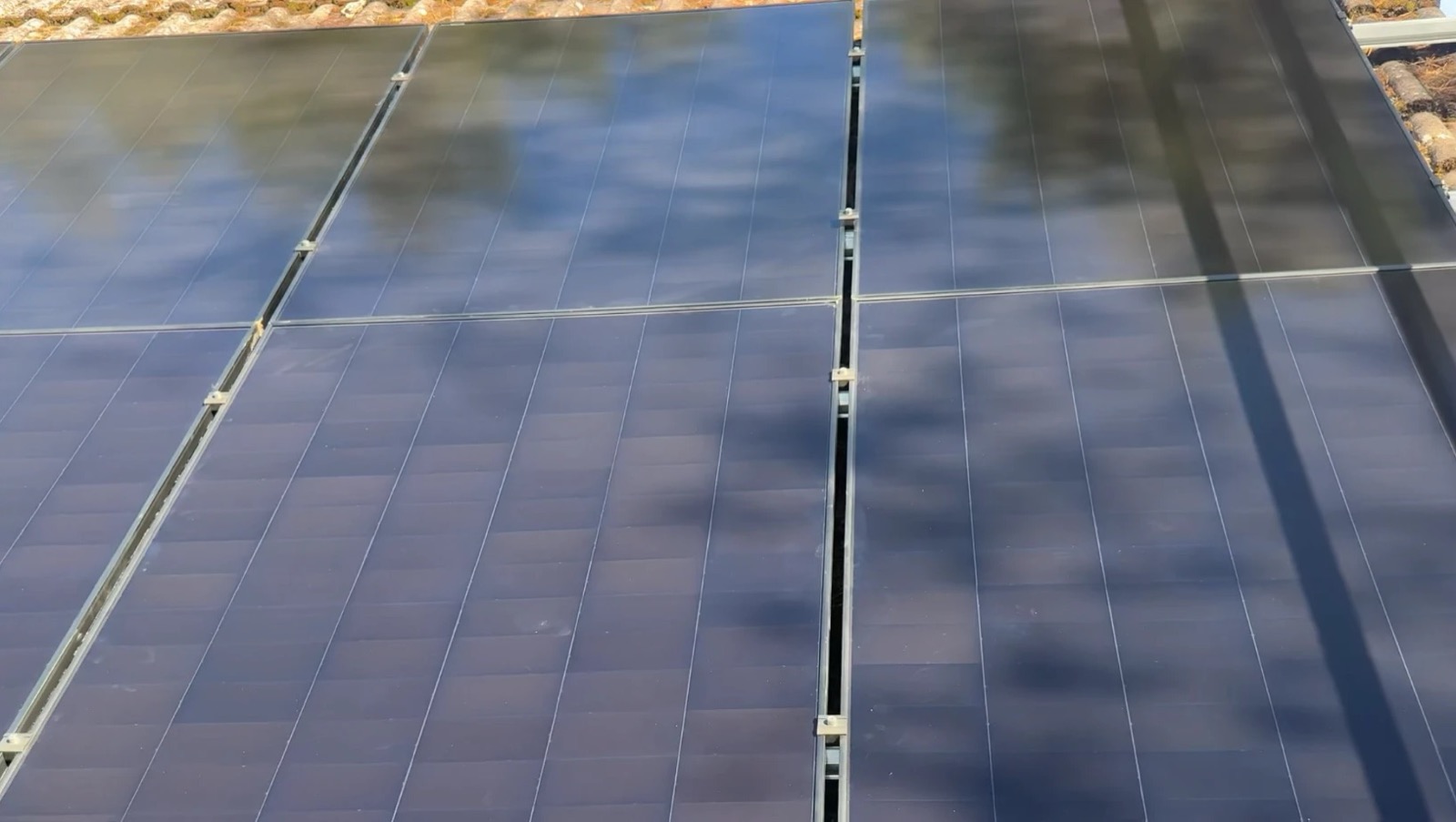 Black Aiko solar panels on the south-facing roof, with tree shadows across them